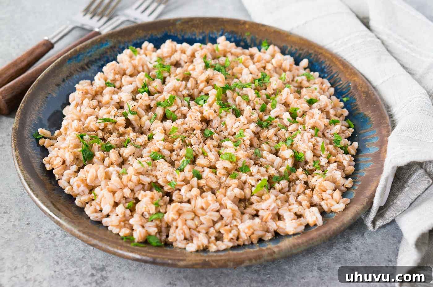Close-up image of cooked farro on a plate, showing its rich texture
