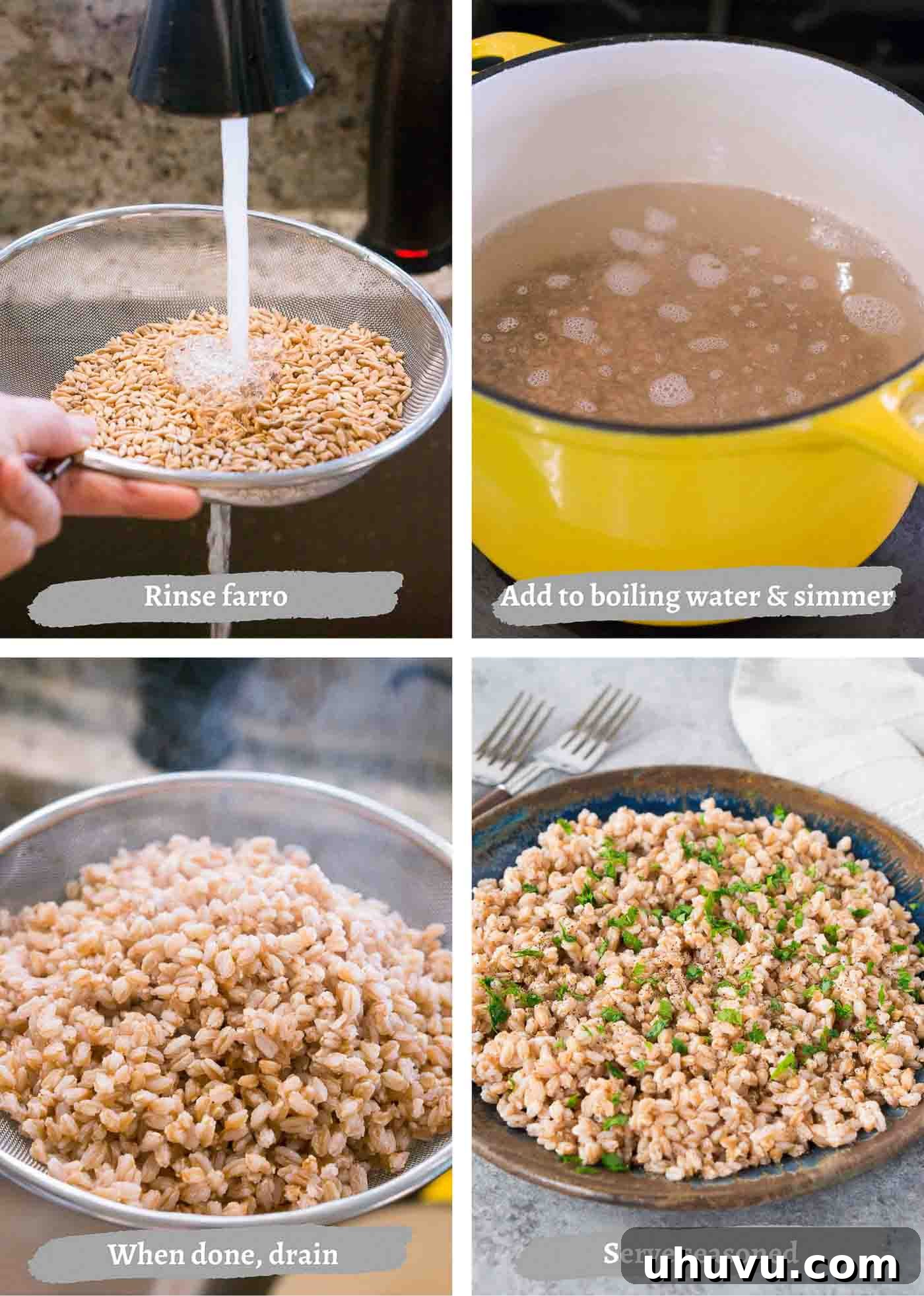 Sequential process images showing farro being cooked on a stovetop