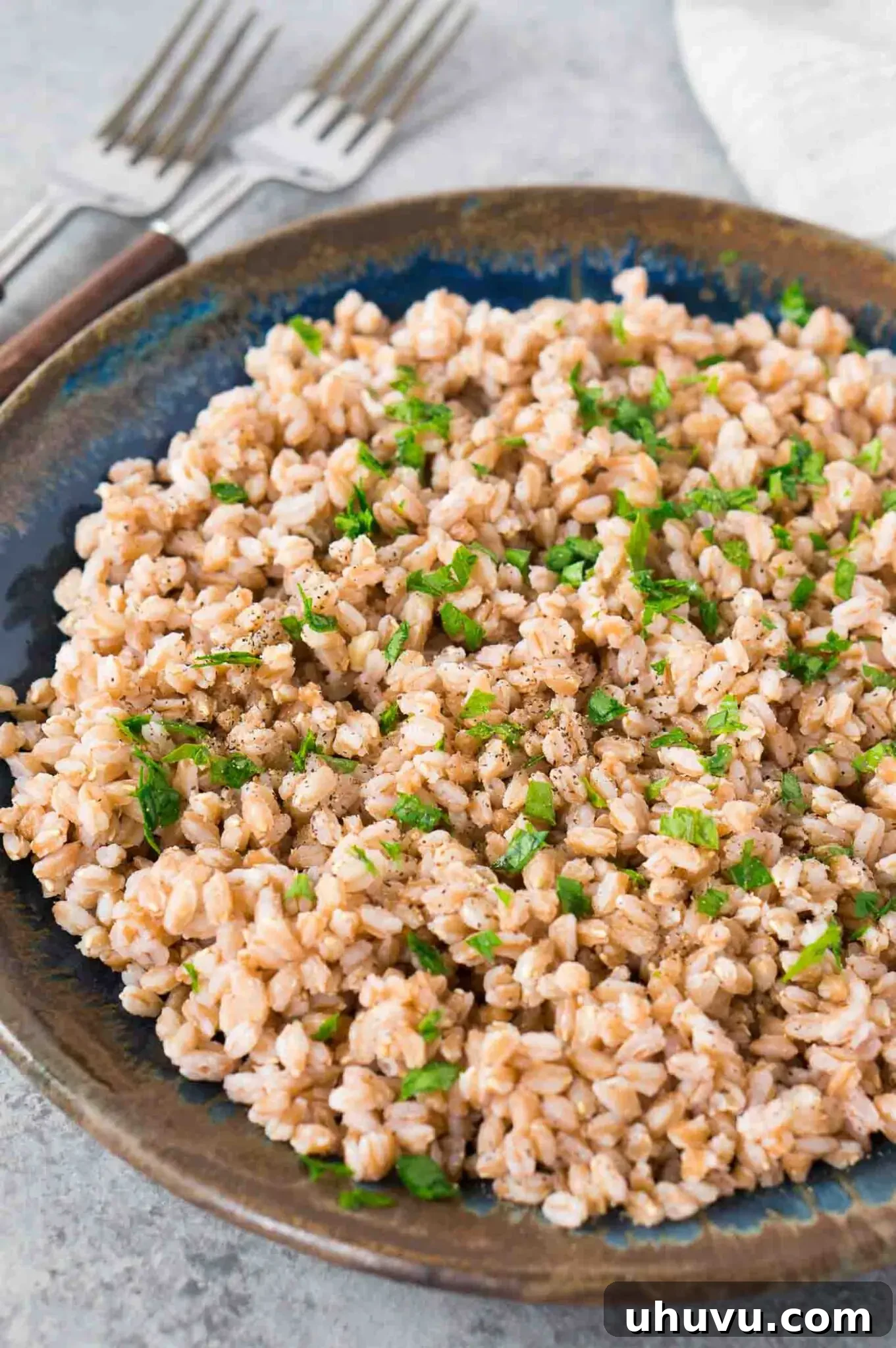 Cooked farro served on a white plate with a fork, ready to eat