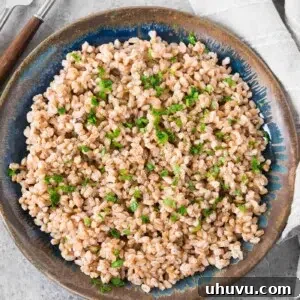 Cooked farro on a large plate, ready to be served