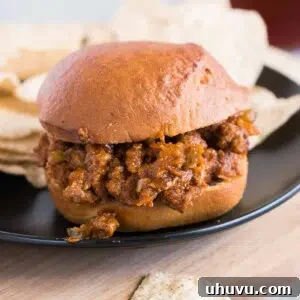 Close up of a delicious homemade sloppy joe burger