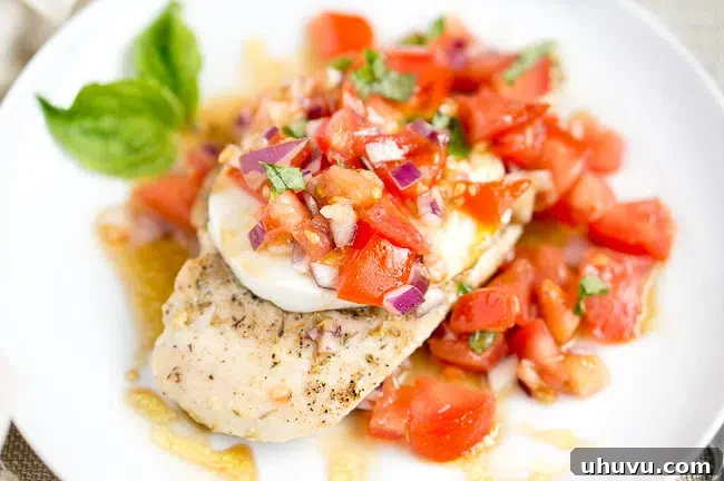 Two plates of grilled chicken caprese with fresh basil garnish
