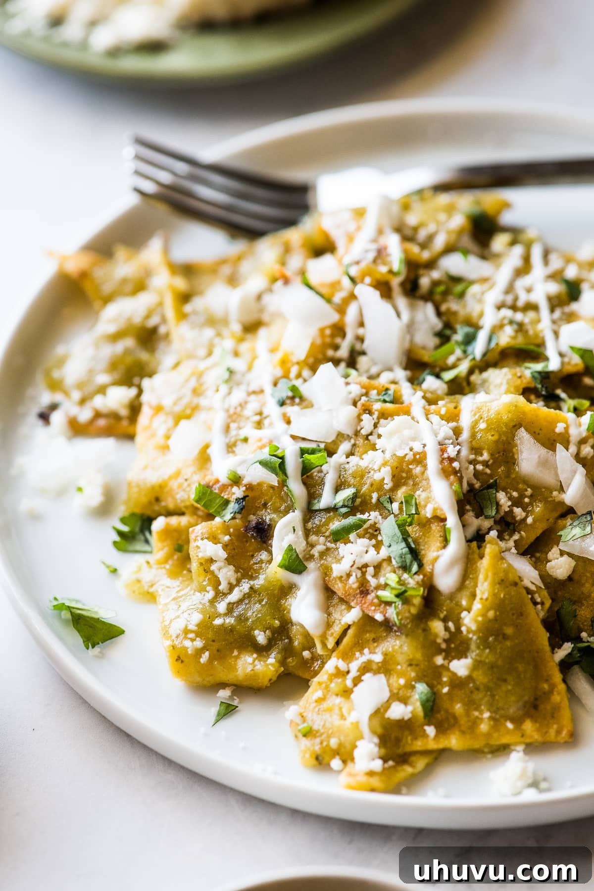Emerald Chilaquiles 6 Close-up of Chilaquiles Verdes adorned with Mexican crema, fresh cilantro, and diced onions.
