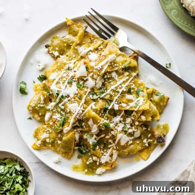 Emerald Chilaquiles 8 Chilaquiles verdes on a white plate.