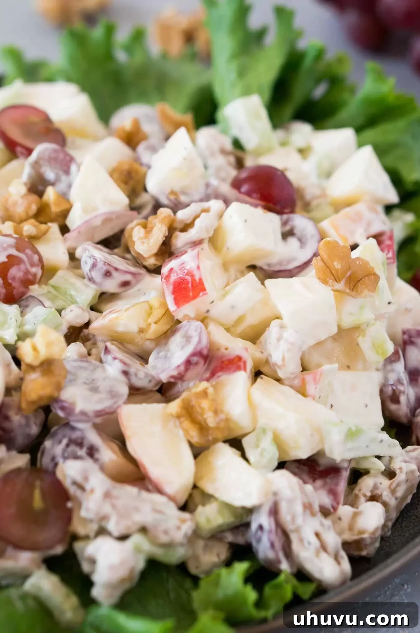 close up image of waldorf salad on green leaf lettuce