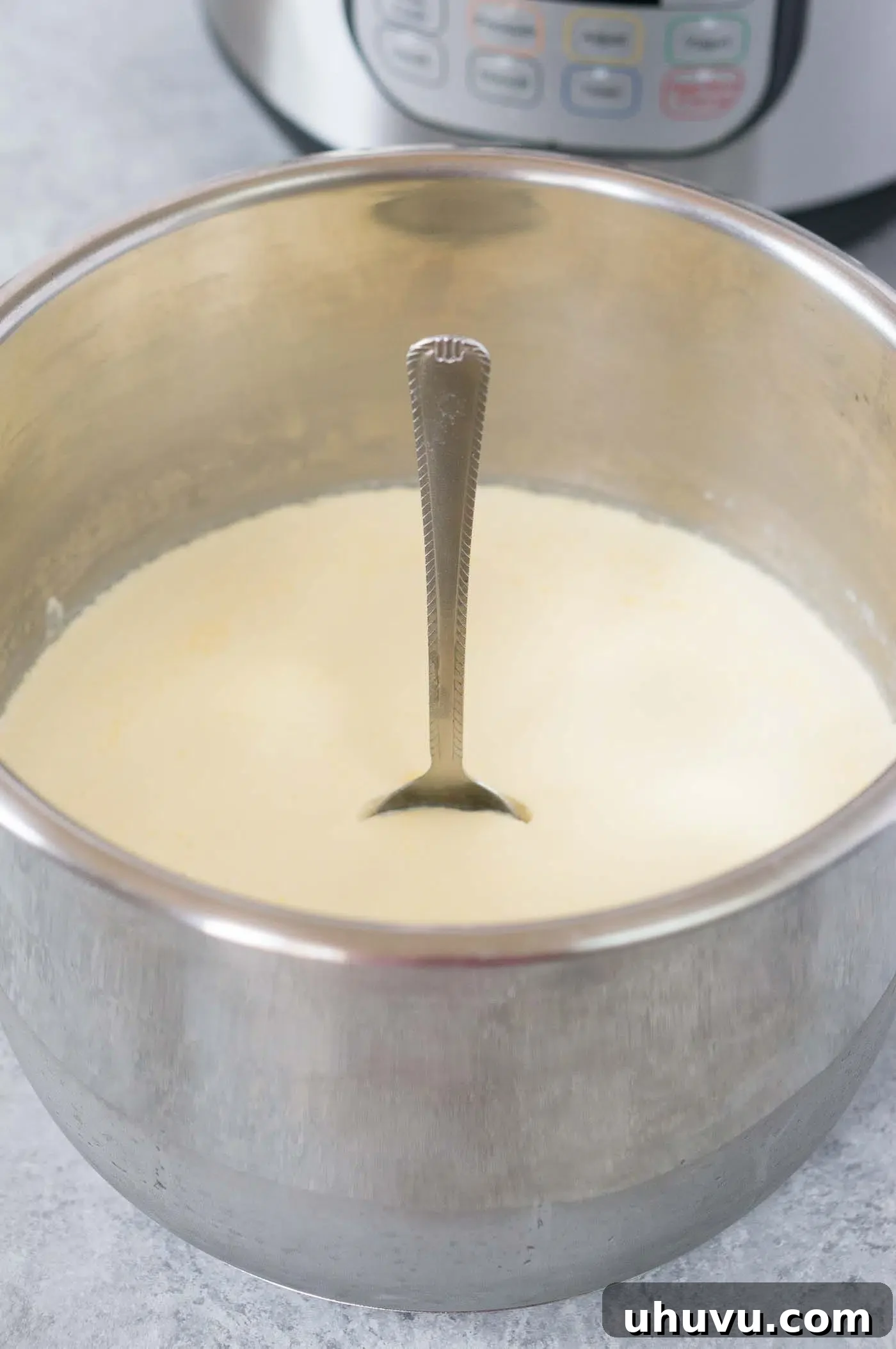 A spoon standing upright in a pot of incredibly thick, homemade Instant Pot yogurt, showcasing its perfect consistency.
