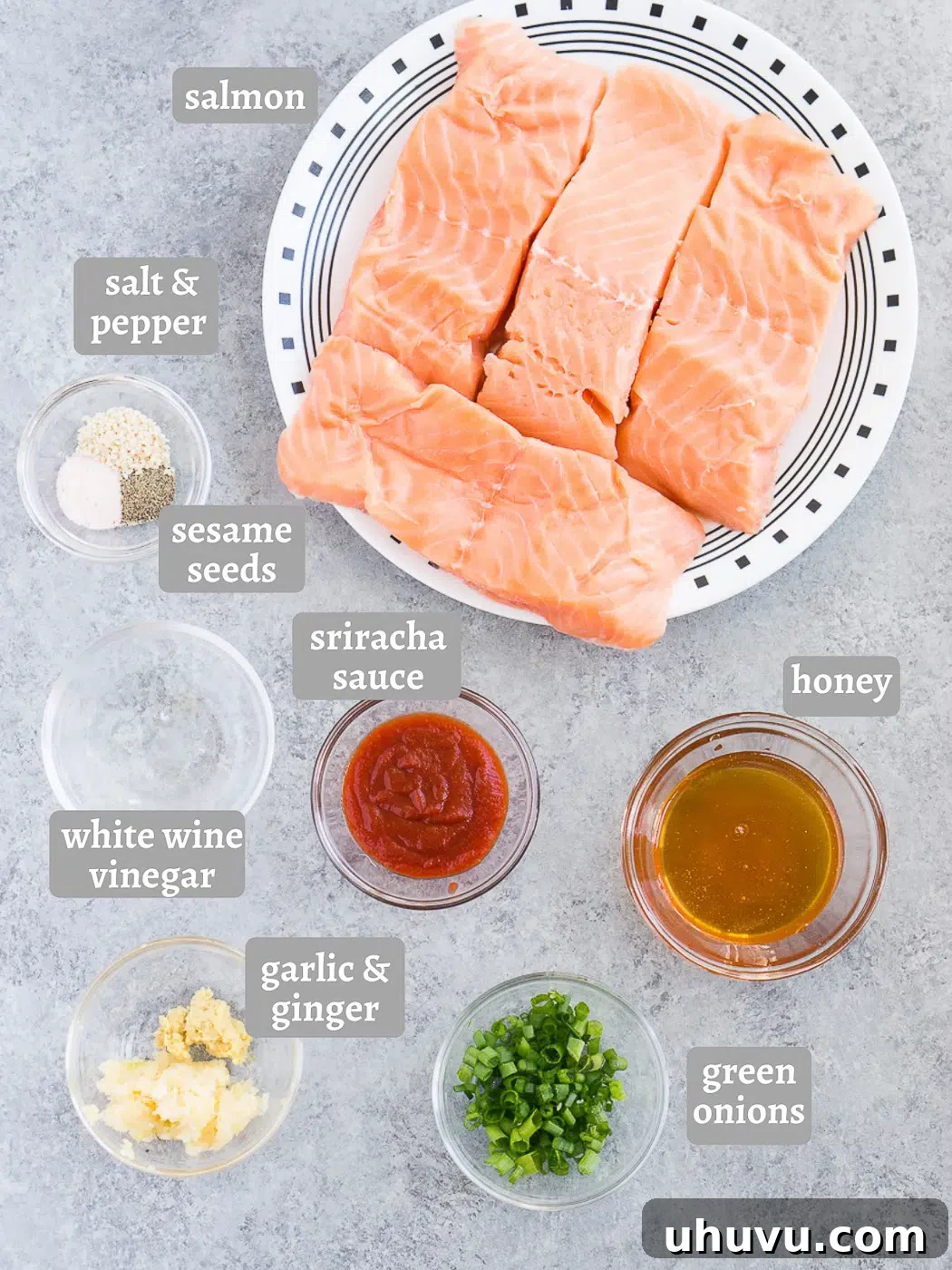 A flat lay photograph displaying all the fresh ingredients needed for Honey Sriracha Salmon, including salmon fillets, honey, sriracha, garlic, ginger, vinegar, salt, pepper, green onions, and sesame seeds.
