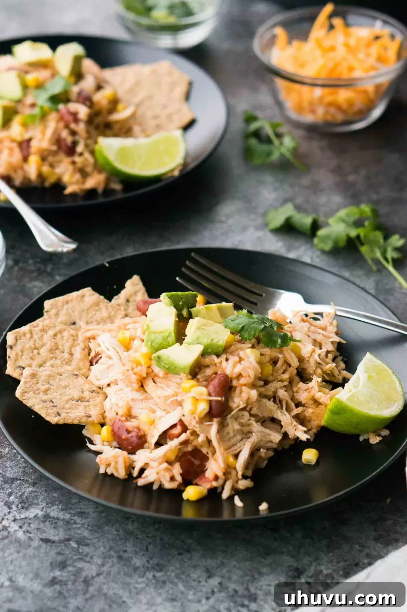 Flavorful Southwestern chicken and rice served on a plate with fresh cilantro
