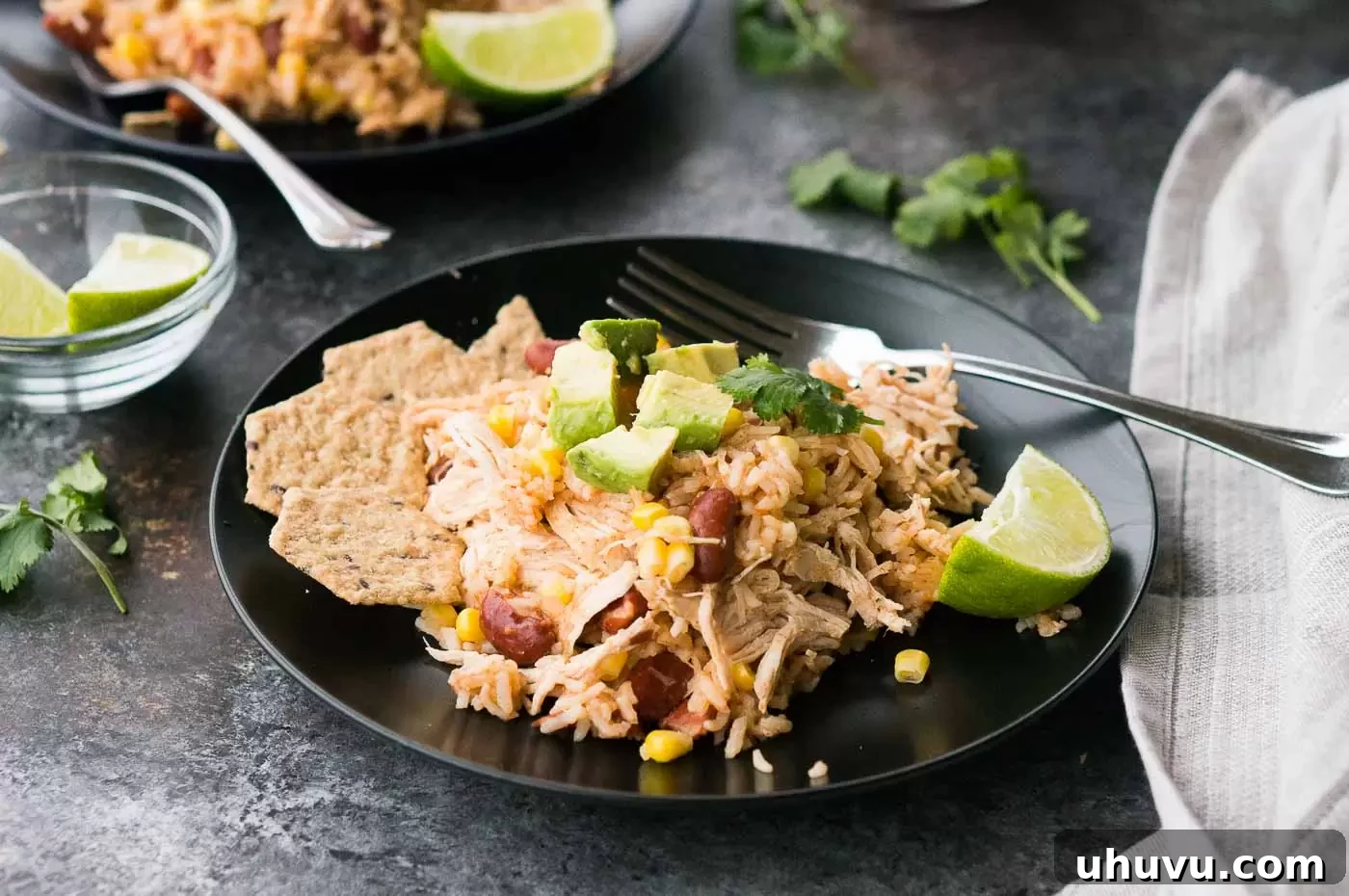 Close-up of a plate of vibrant Southwestern Chicken and Rice