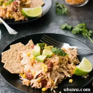 chicken and rice southwestern style served on a plate