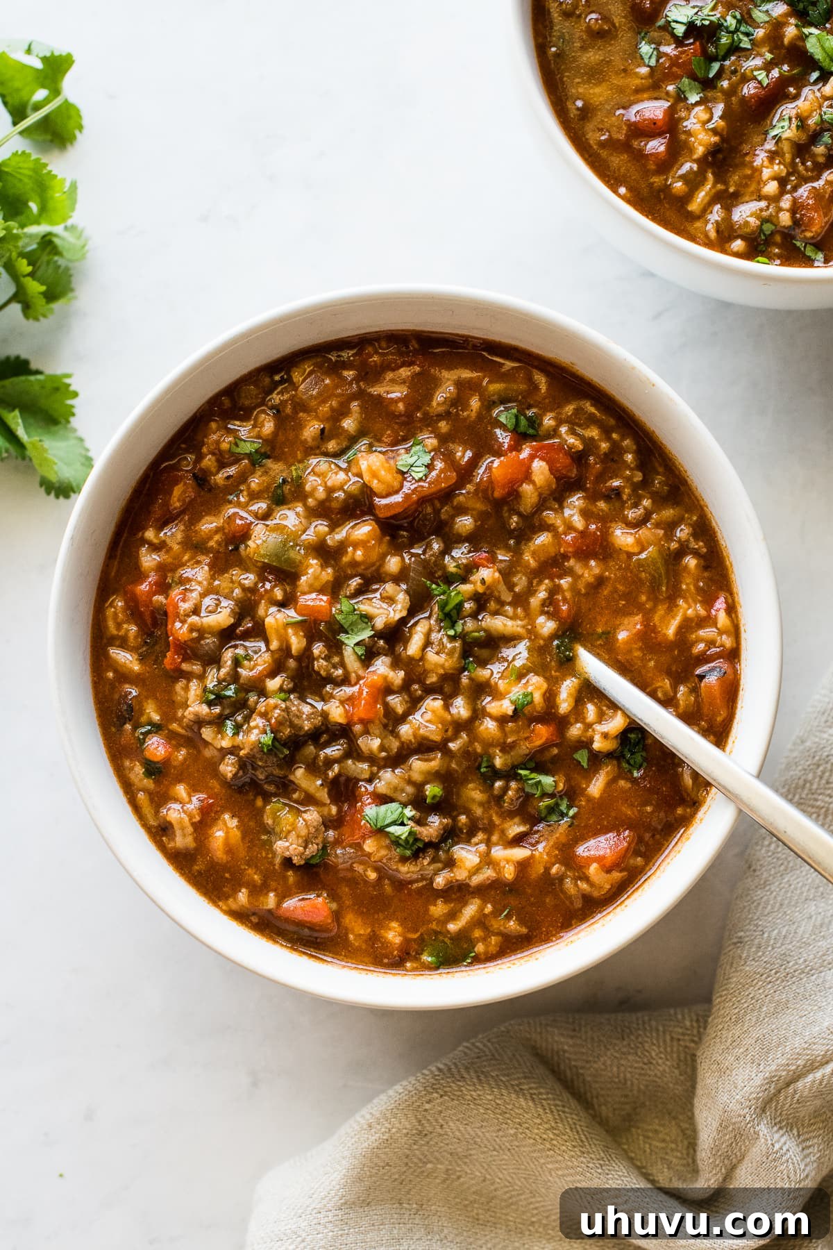 Hearty Bell Pepper and Beef Rice Soup 5 A bowl of hot stuffed pepper soup garnished generously with fresh cilantro.