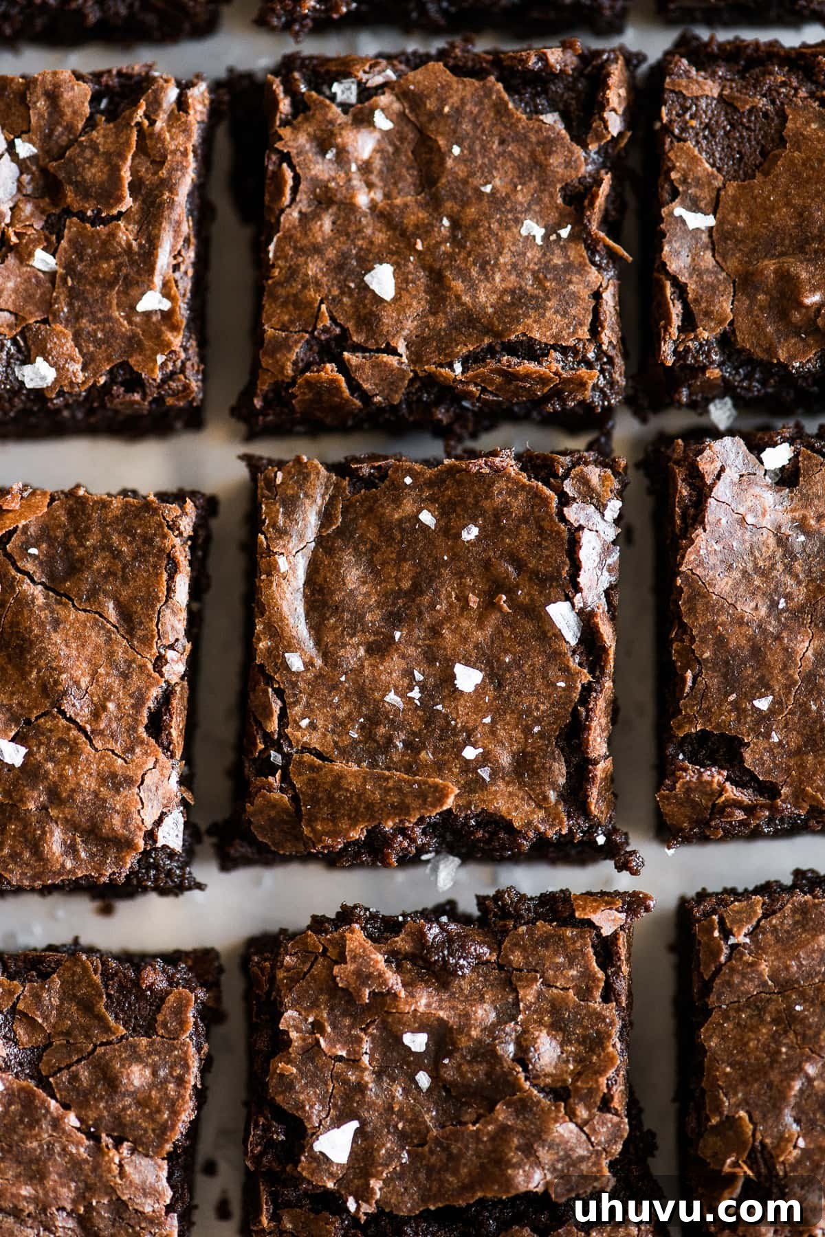Aztec Chocolate Brownies 3 Mexican brownies cut into perfect squares, revealing their rich, dark interior and a crinkly, glossy top.