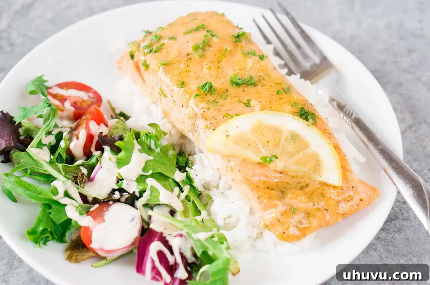 Perfectly cooked salmon fillet served over fluffy rice with a fresh side salad, showcasing a complete meal