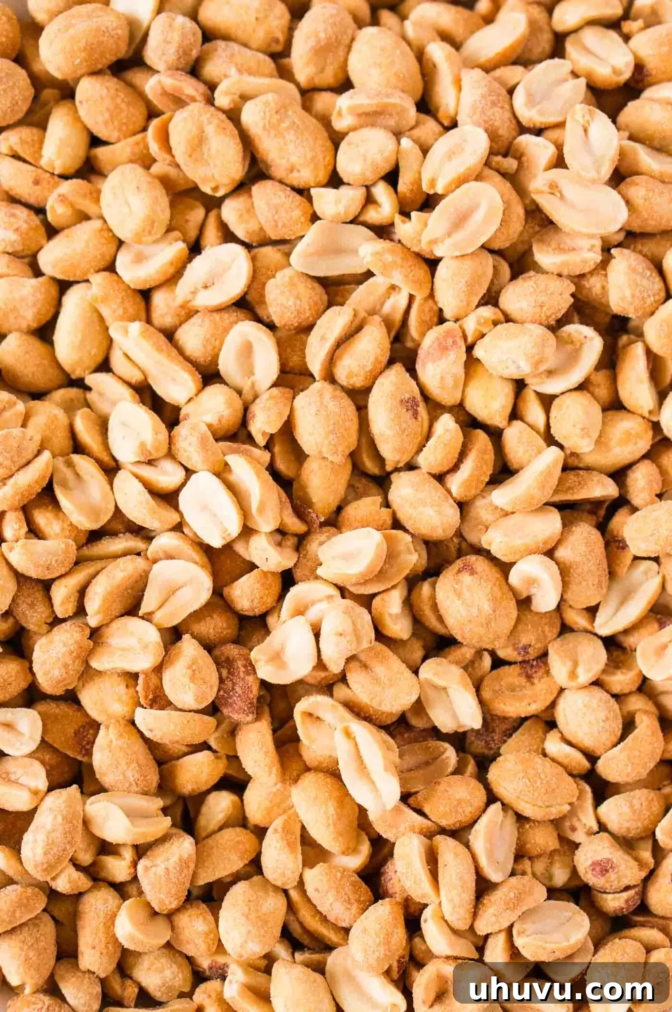 close up image of raw peanuts