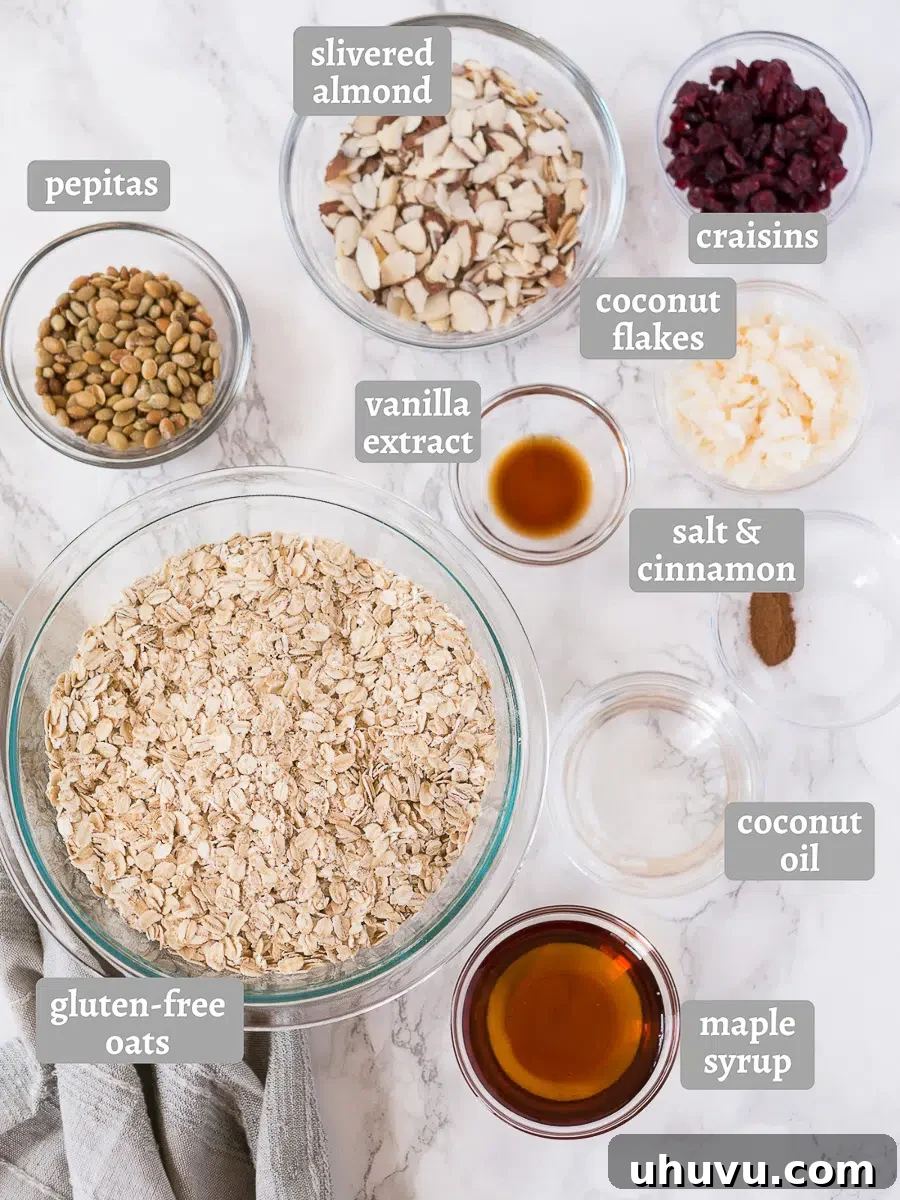 Close-up of all the ingredients for homemade granola laid out on a white surface, including oats, nuts, seeds, and dried fruit.