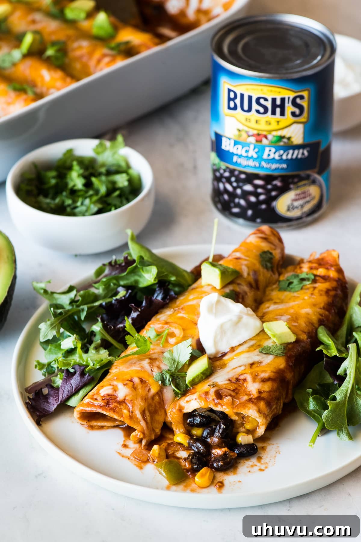 Savory Black Bean Enchiladas 8 Black bean enchiladas on a plate on a bed of lettuce.