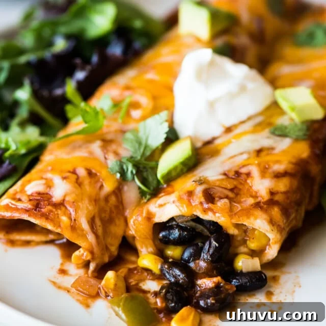Savory Black Bean Enchiladas 9 Black bean enchiladas topped with sour cream and cilantro.