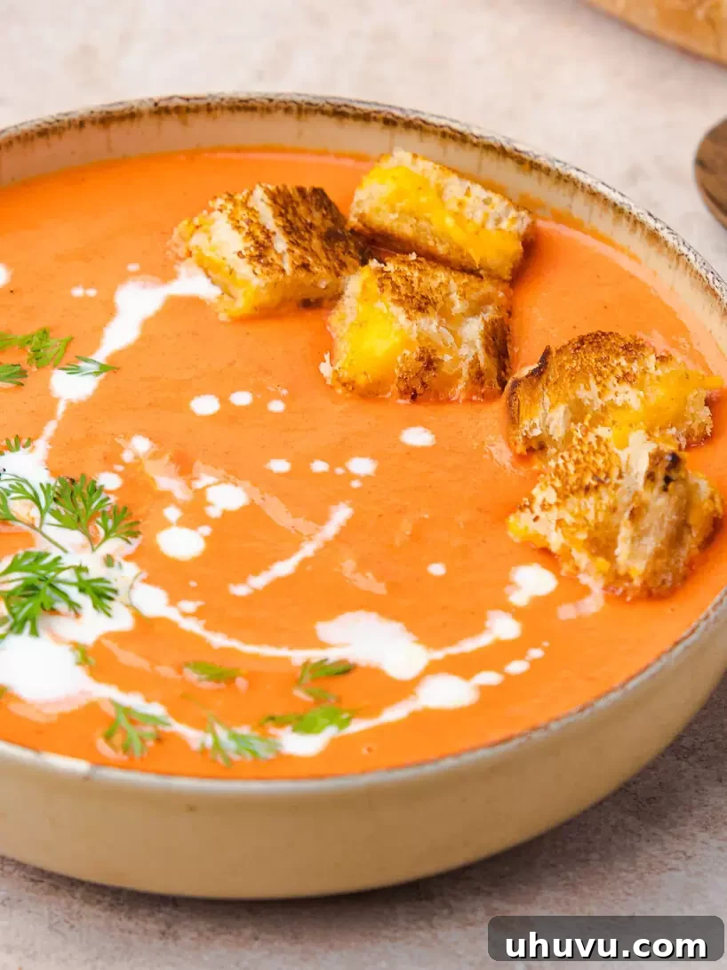creamy tomato soup in a bowl ready to be enjoyed