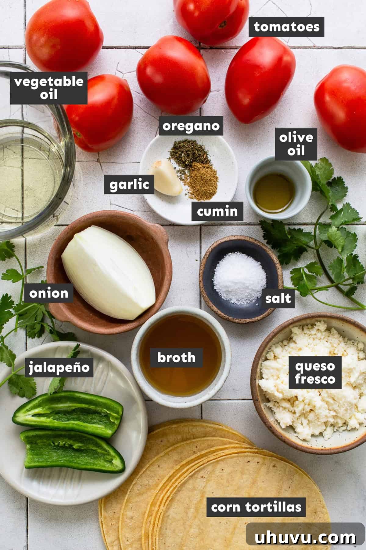 Tomato-Smothered Tortillas 4 A selection of fresh ingredients laid out on a table, including Roma tomatoes, onion, garlic, jalapeño, corn tortillas, and queso fresco, ready for making entomatadas.