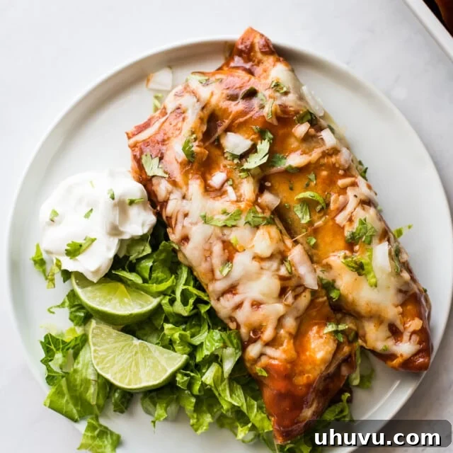 A perfectly portioned Turkey Enchilada on a plate, garnished with fresh lettuce and a dollop of sour cream, showcasing the golden cheese topping.