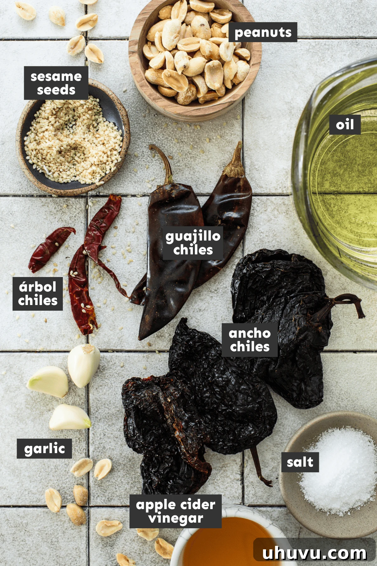 Various ingredients laid out for making Salsa Macha: dried chiles, peanuts, garlic, oil, vinegar, salt, sesame seeds