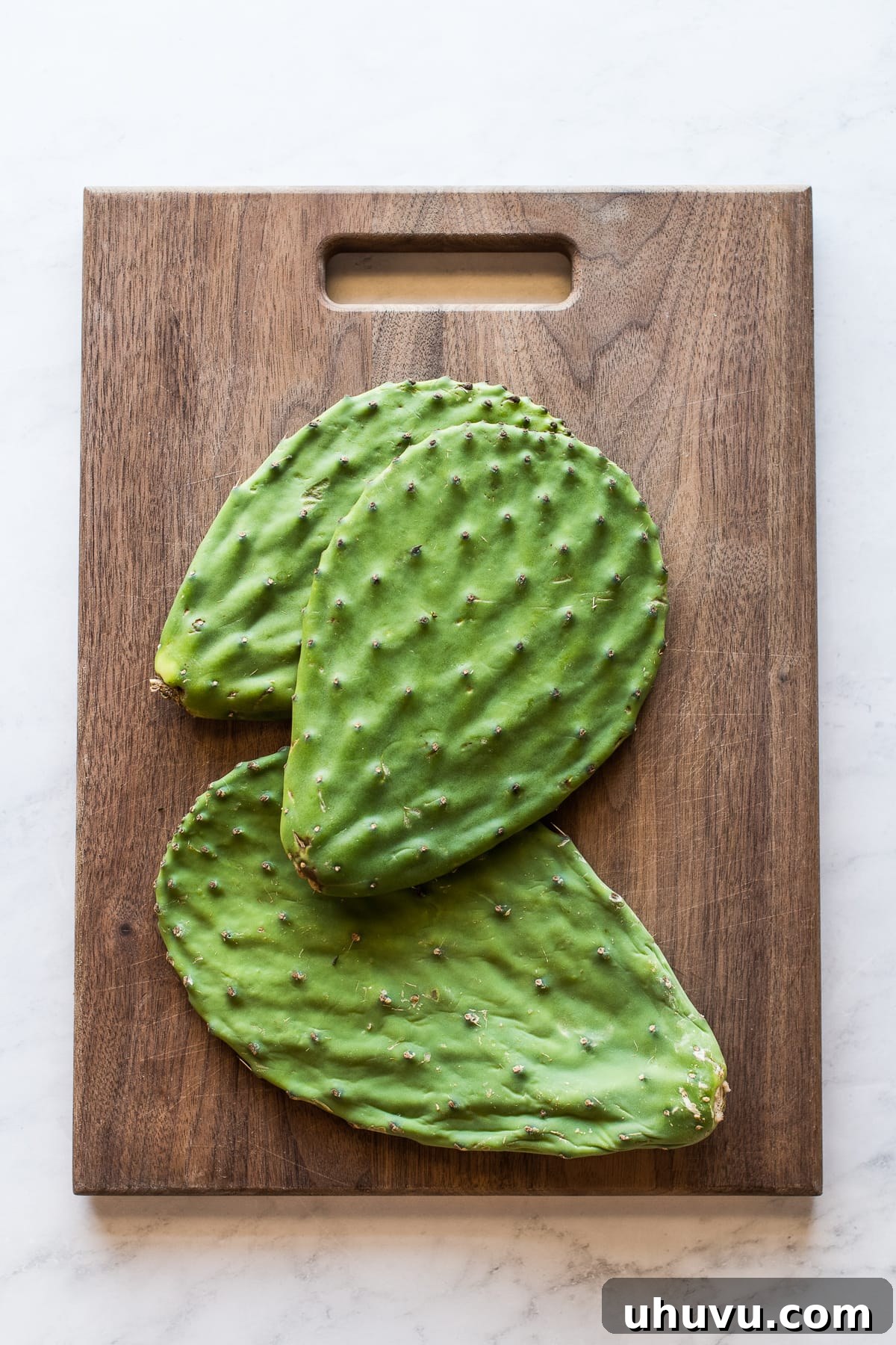 Nopales Made Easy 3 Fresh nopales (cactus paddles) on a cutting board, ready for cleaning and preparation.