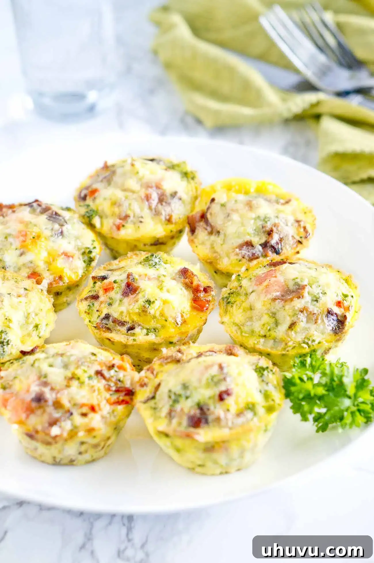 Easy Egg Bites 2 breakfast egg muffins on a plate, garnished with fresh herbs