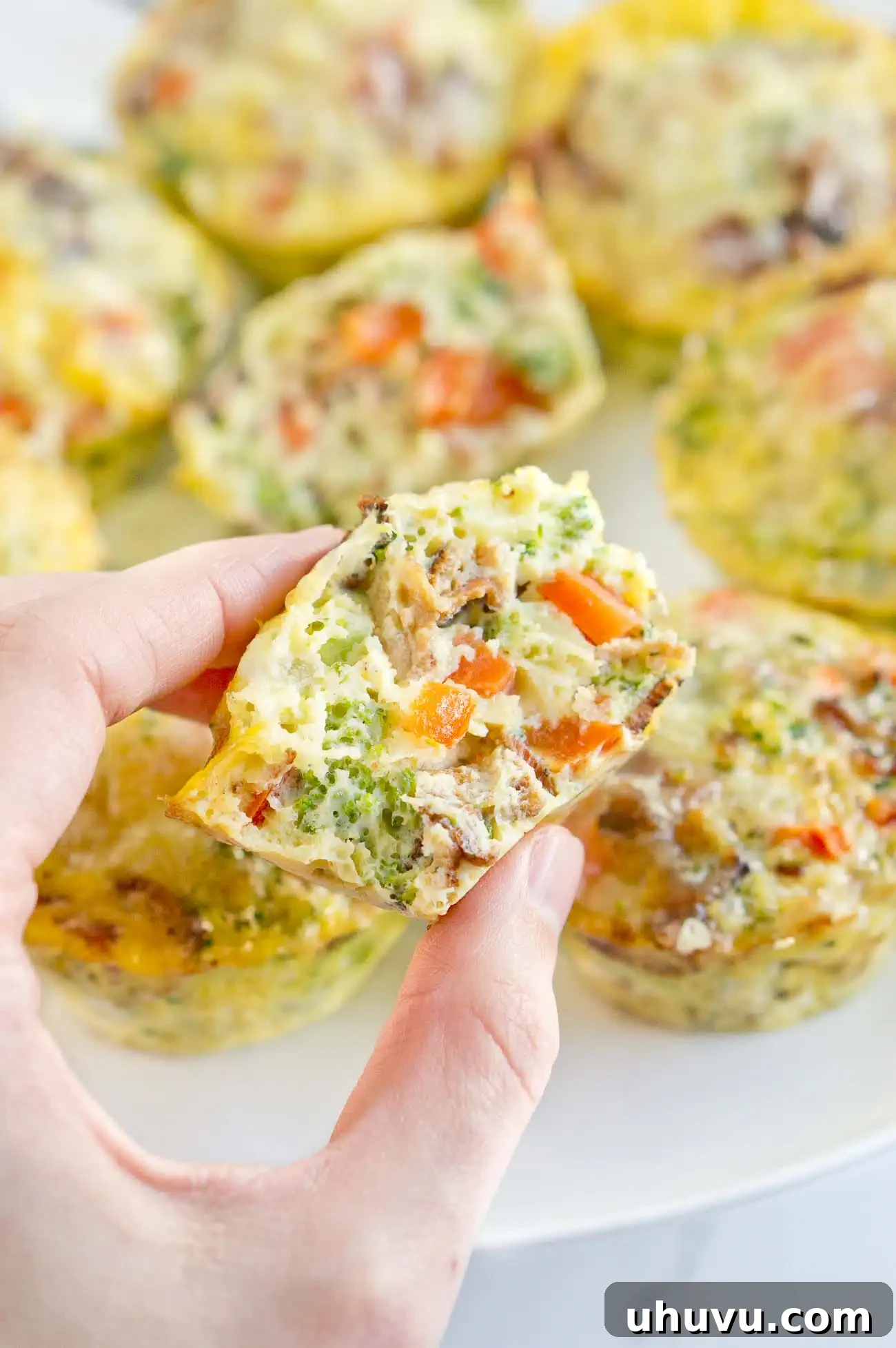 Easy Egg Bites 11 hand holding a single, perfectly baked breakfast egg muffin
