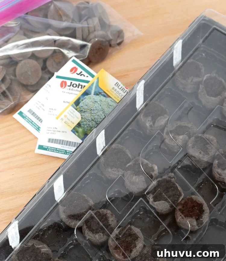 Unlock Indoor Seed Success with Peat Pellets 8 A tray of planted peat pellets covered with a plastic lid, creating a mini greenhouse environment for sprouting seeds.