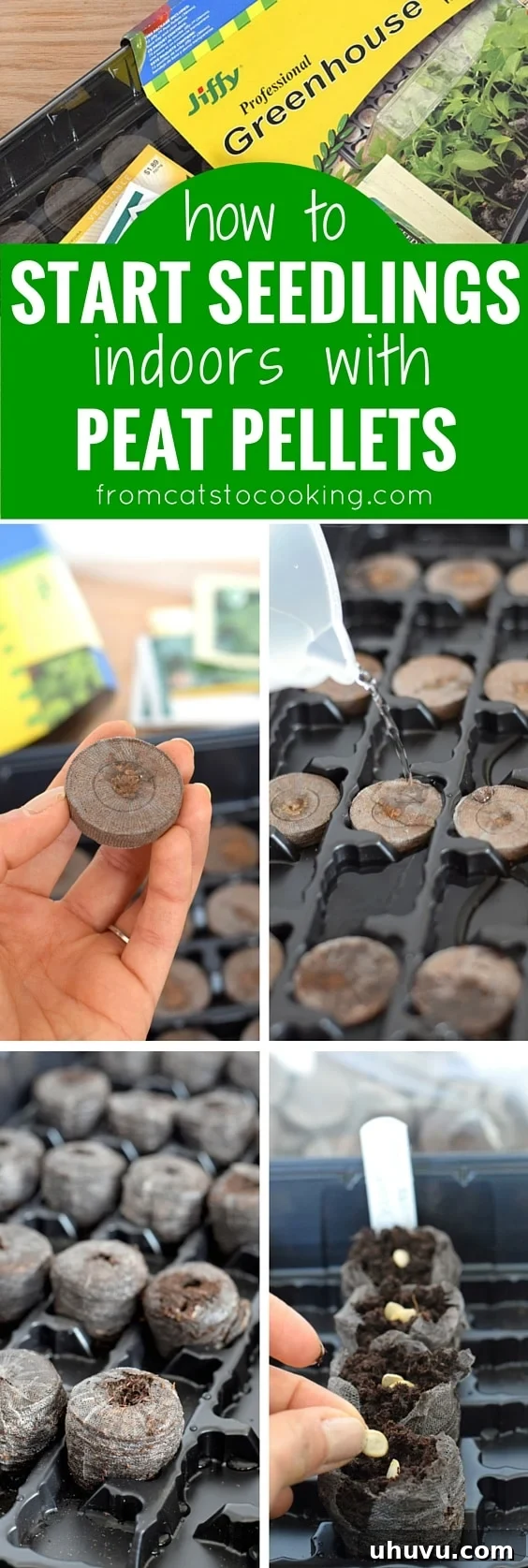 Unlock Indoor Seed Success with Peat Pellets 10 A collection of healthy young seedlings growing vigorously in peat pellets, ready for the next stage.