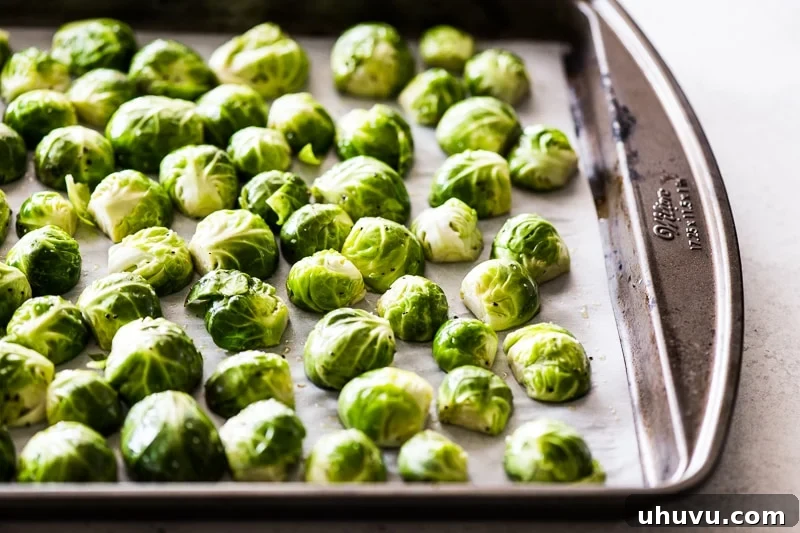 Caramelized Honey Balsamic Sprouts 5 Raw and seasoned Brussels sprouts meticulously arranged flat-side down on a parchment-lined baking pan, prepared for roasting.