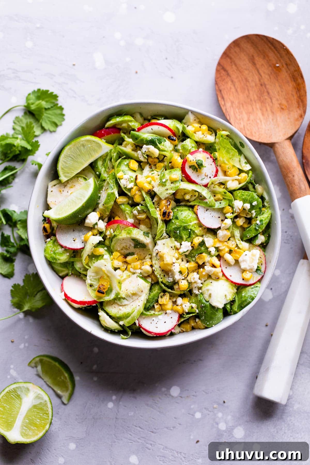 Zesty Mexican Brussels Sprout Salad 2 A vibrant Mexican Brussels Sprout Salad with grilled corn, feta, radishes, and cilantro, dressed with lime vinaigrette.