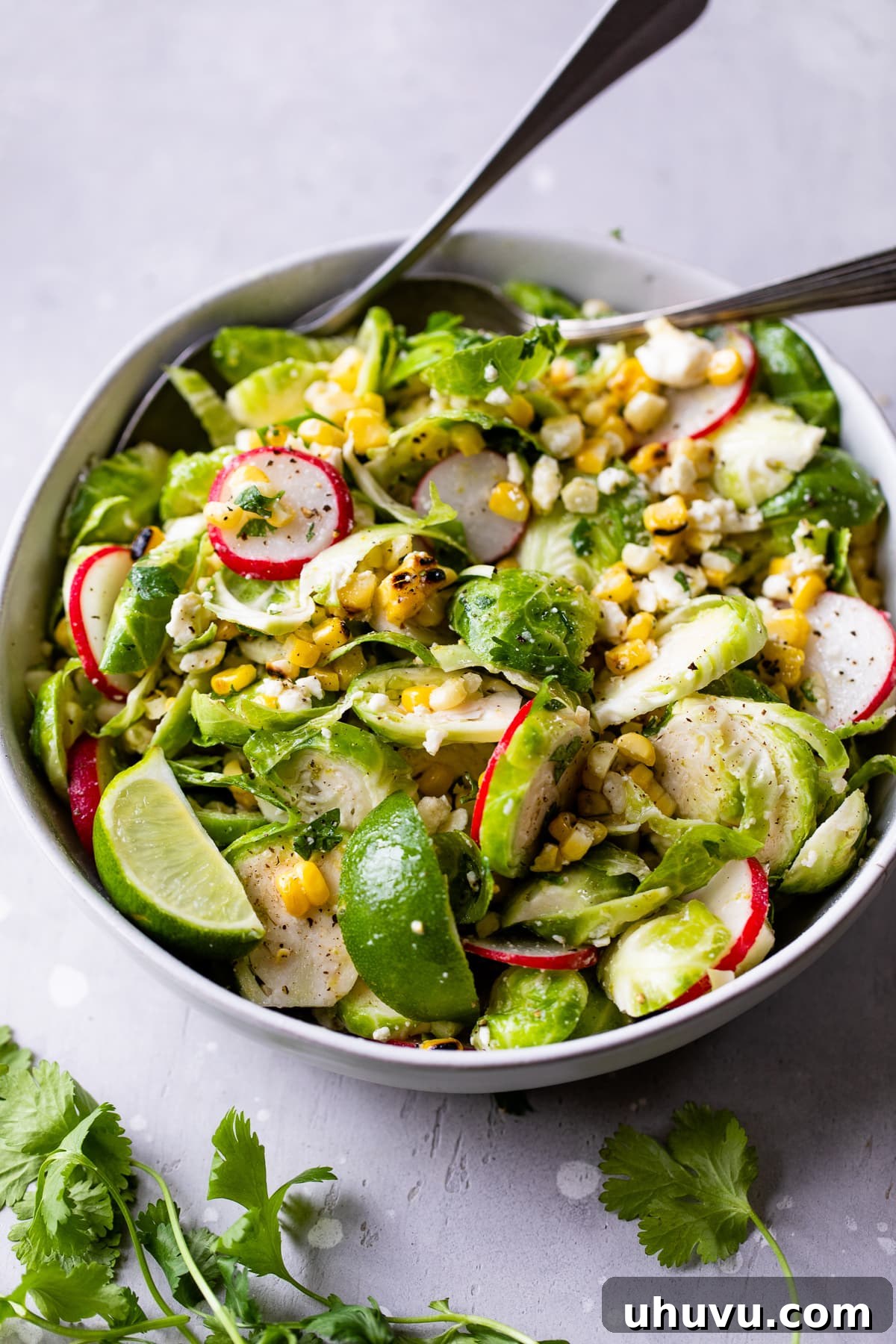 Zesty Mexican Brussels Sprout Salad 5 Sliced brussels sprouts in a bowl with grilled corn, radishes, and feta cheese, perfectly mixed.