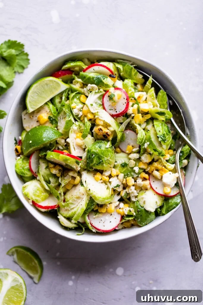 Zesty Mexican Brussels Sprout Salad 6 Mexican Brussels Sprout Salad topped with fresh sliced radishes and lime wedges, ready to serve.