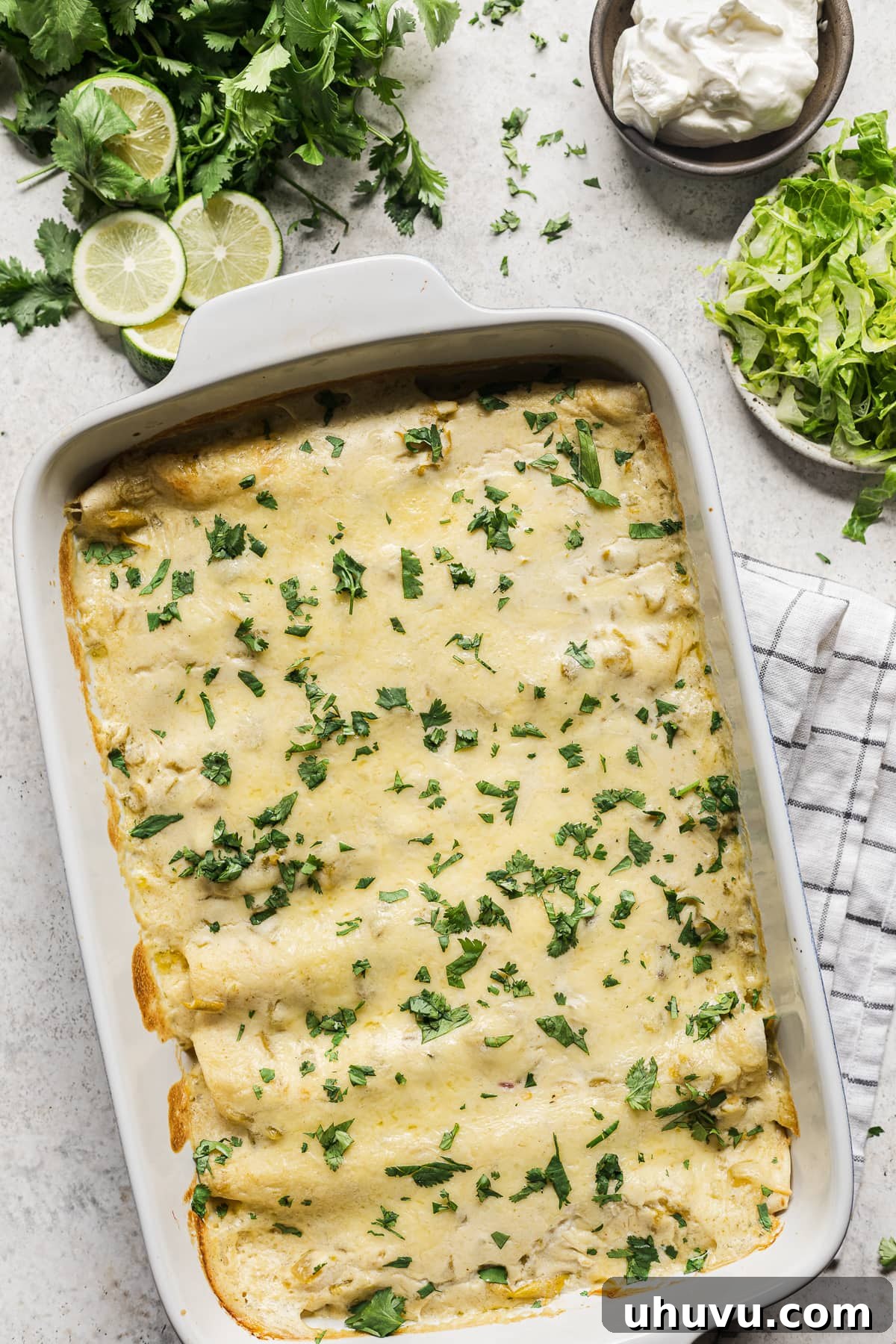 Creamy Chicken Enchiladas 3 A baking dish filled with golden-brown white chicken enchiladas, bubbling and ready to be served.