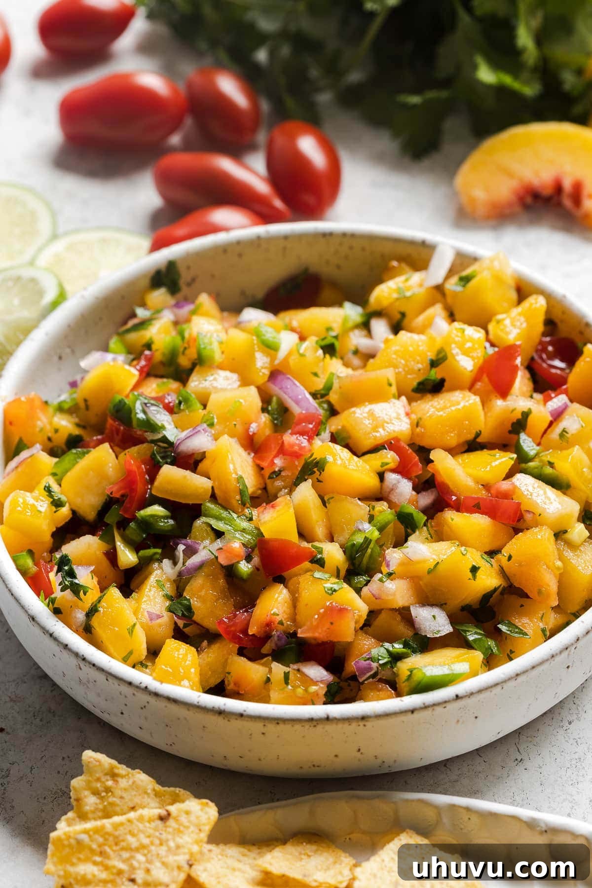 Sunshine Peach Salsa 3 Fresh peach salsa in a bowl next to tortilla chips.