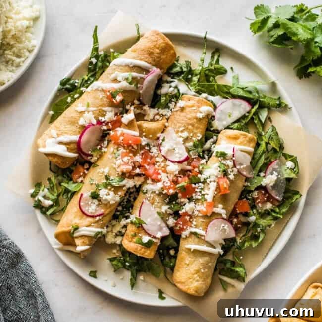 Beef taquitos topped with sour cream, avocado, and tomatoes.
