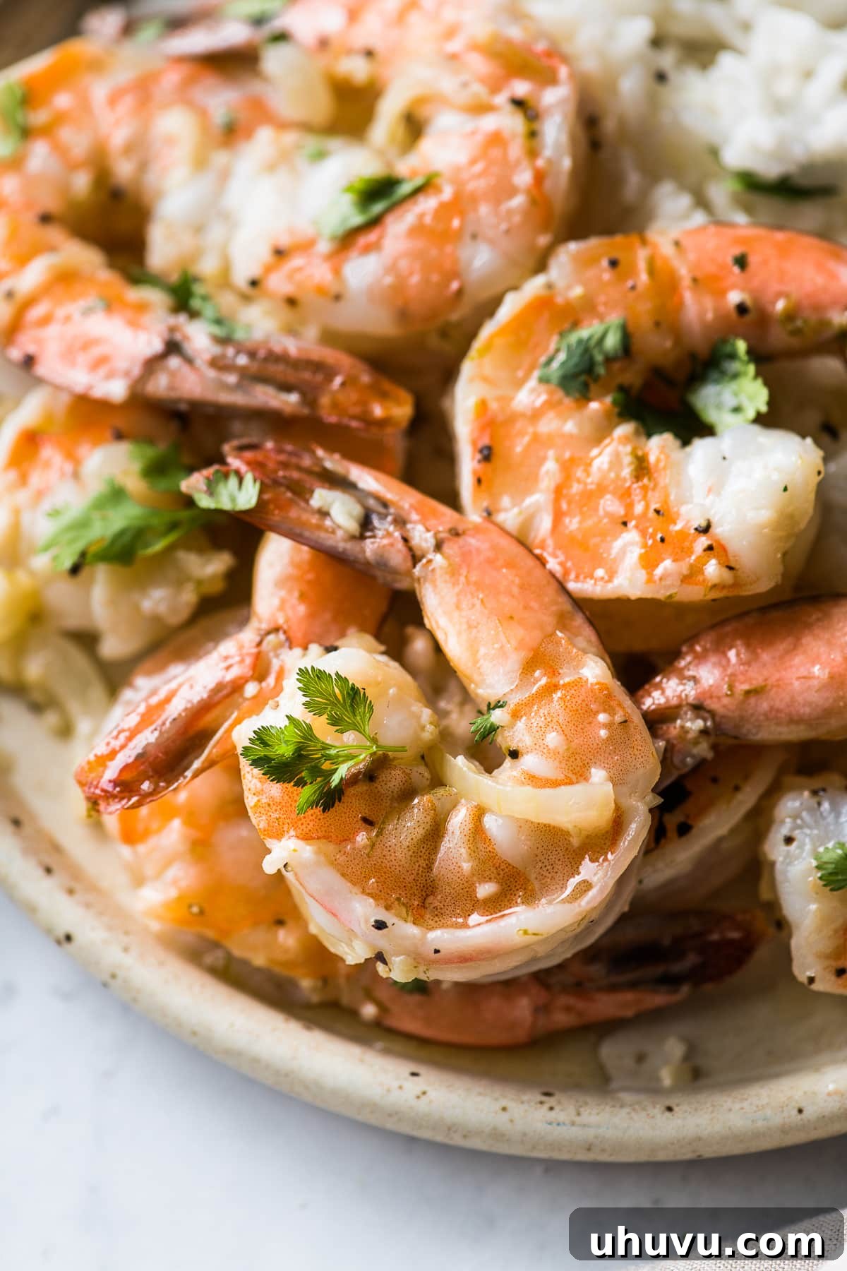 Mexican Garlic Butter Shrimp 6 Camarones al Mojo de Ajo (Mexican Garlic Shrimp) on a plate topped with cilantro.