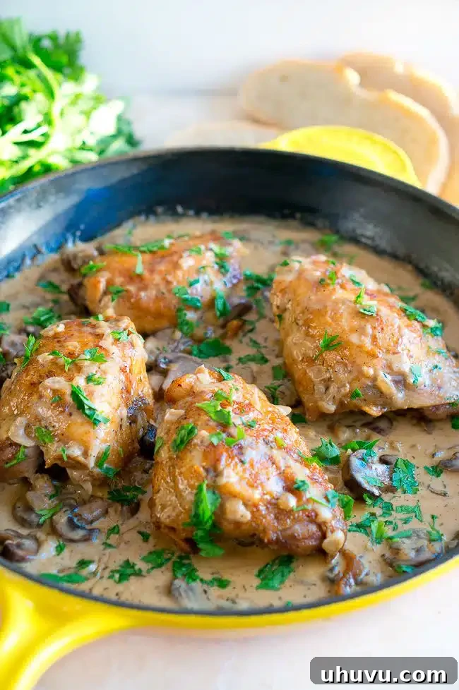 How to Make Chicken in Creamy Mushroom Sauce