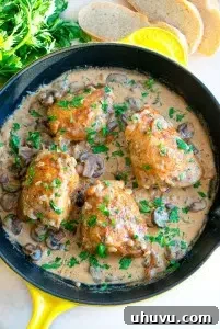 Chicken in creamy mushroom sauce