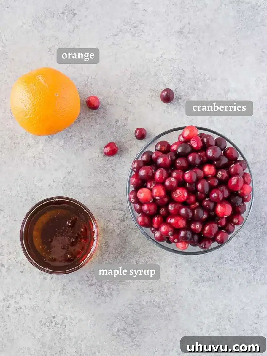 ingredients for making cranberry sauce