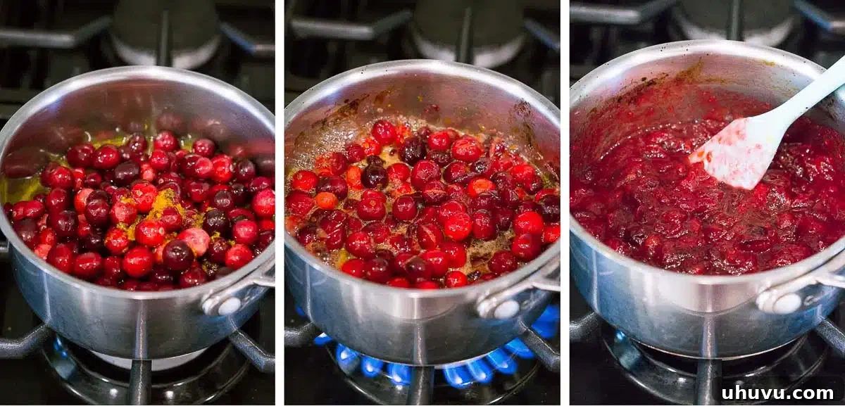 process shots of making cranberry sauce
