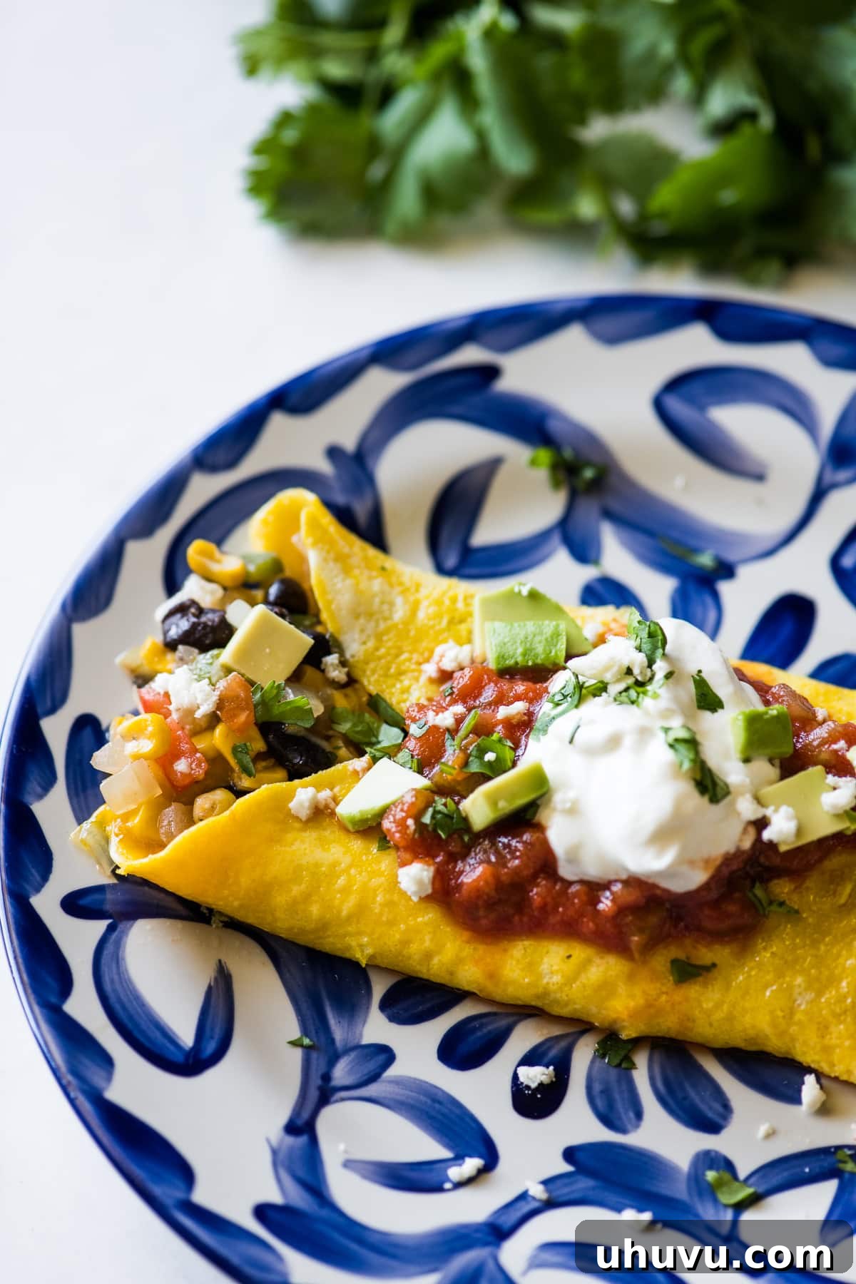 Fiesta Omelet 6 A close-up view of a freshly prepared Mexican omelet, folded and ready to be enjoyed, showcasing its rich, colorful filling.