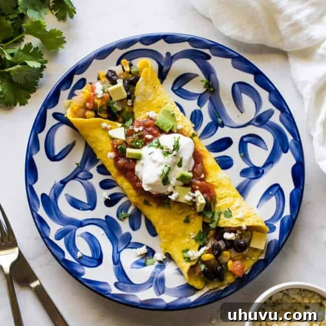 Gourmet Mexican Omelet, beautifully plated with a vibrant chunky salsa, dollop of sour cream, and sliced avocado, perfect for breakfast or brunch.