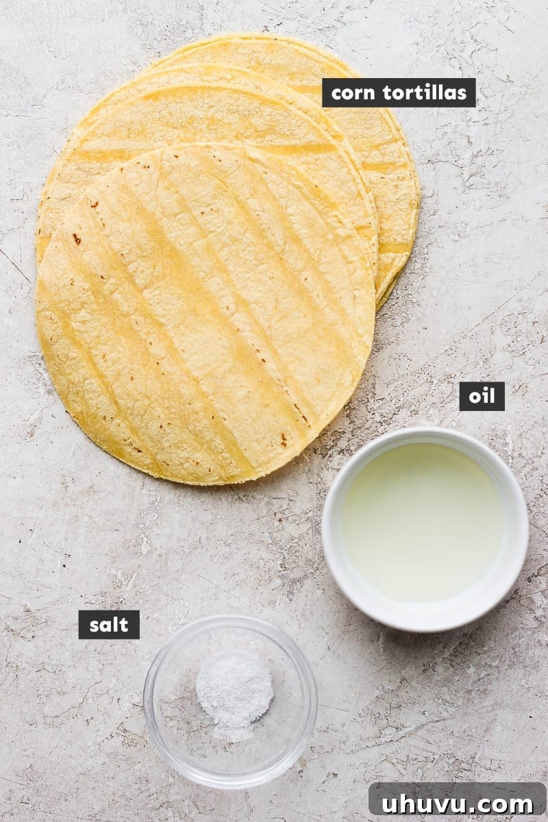 Ingredients in air fryer tortilla chips