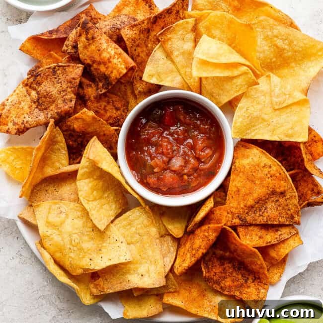 Air fryer tortilla chips plated with salsa
