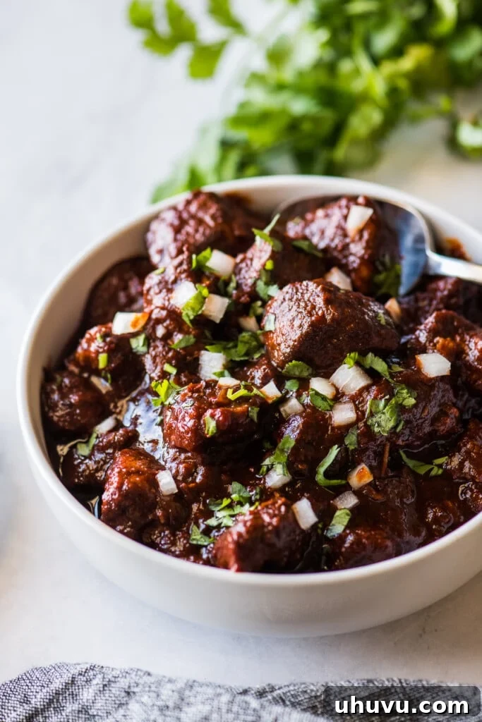 New Mexican Red Chile Pork Stew 6 Carne adovada in a bowl.
