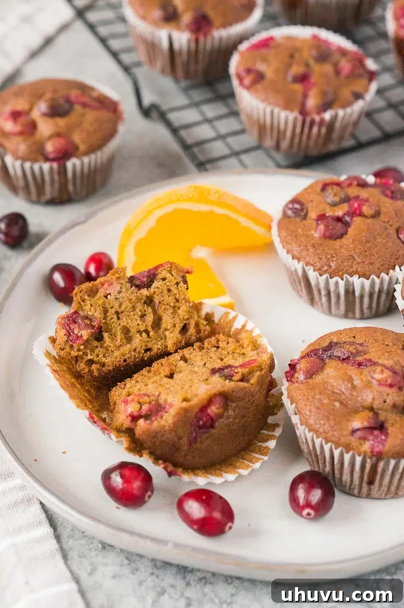 Delicious gluten-free cranberry orange muffins ready to eat