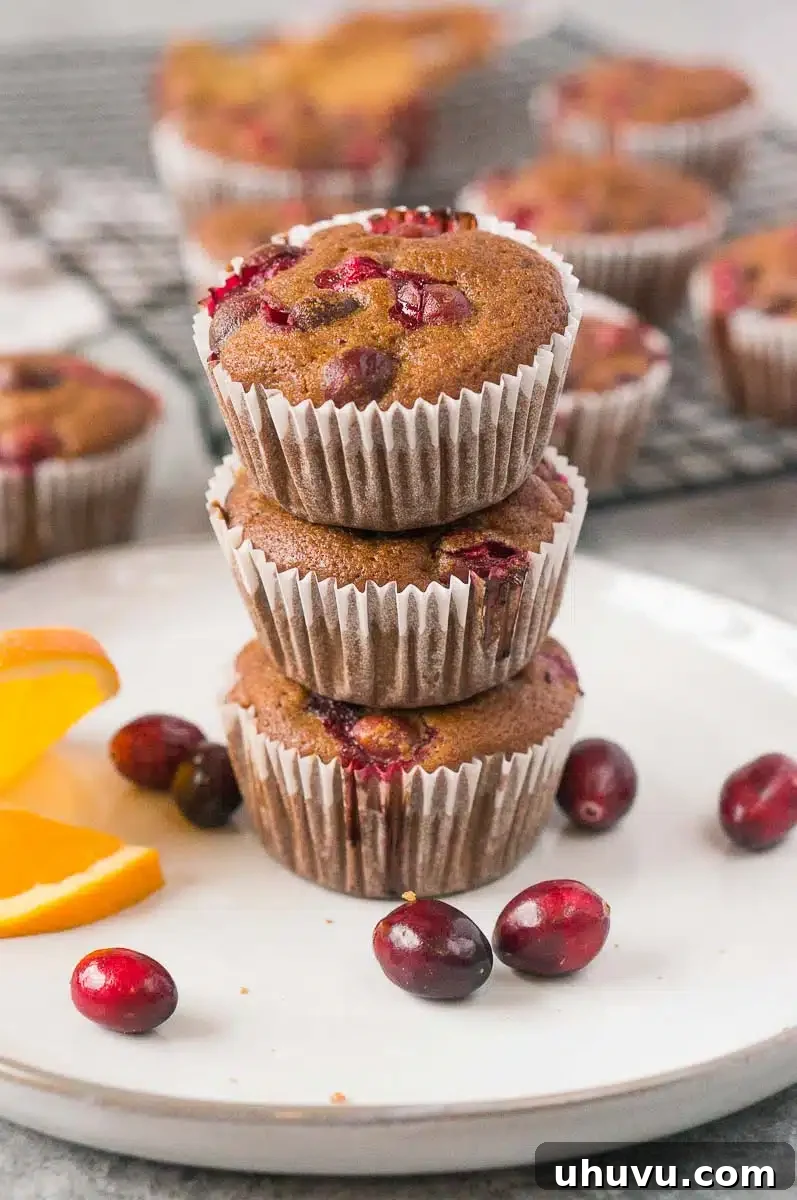 Cranberry orange muffins made gluten-free and dairy-free