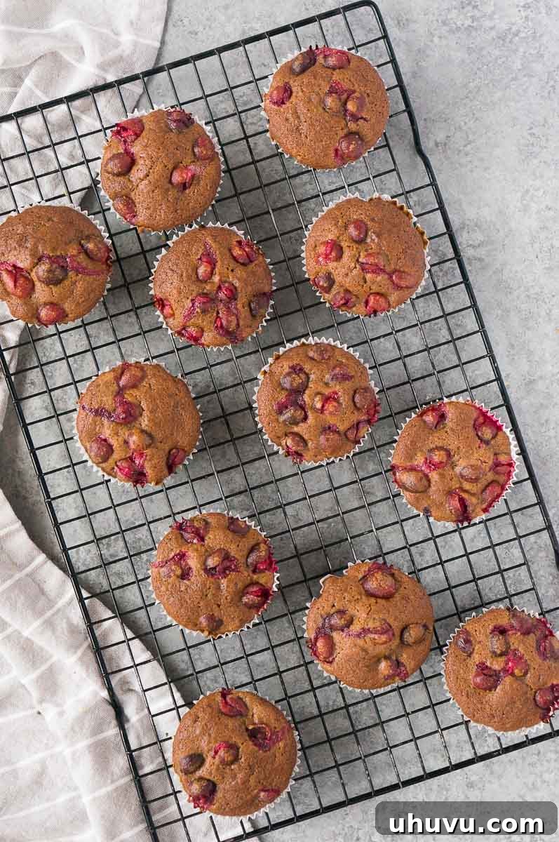 Gluten-free orange cranberry muffins on a cooling rack